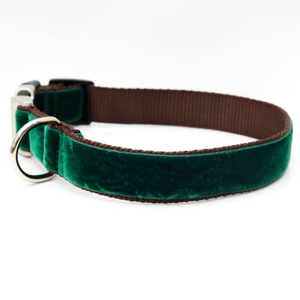 Hand Embroidered Evergreen Personalized Dog Collar