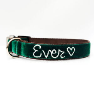 evergreen forest green velvet dog collar with embroidery personalization