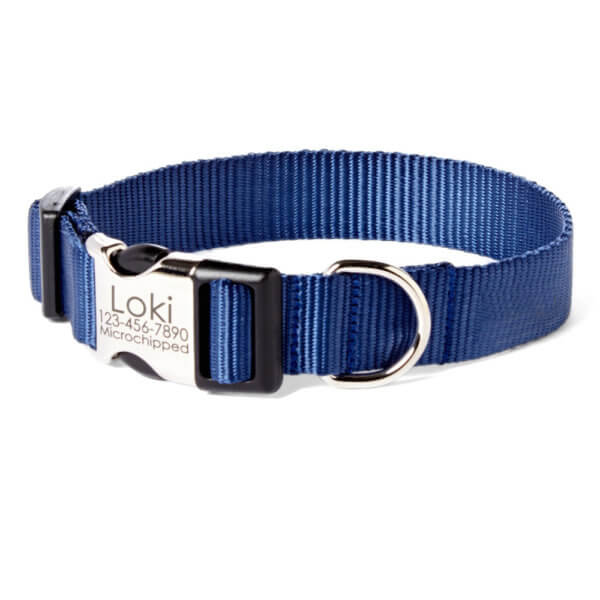 Navy Nylon bing Dog Collar