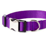 Dark Purple Nylon Webbing Collar