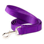 Purple Webbing Leash