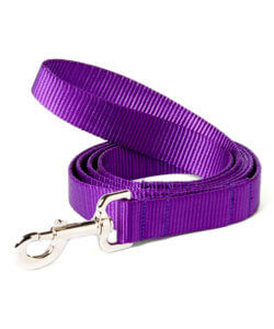 purple dog leash