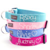 Embroidered Webbing Dog Collar *22 colors