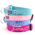 Embroidered Webbing Dog Collar *27 colors