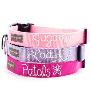 embroidered nylon dog collar stack