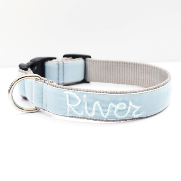 blue vevlet embroidered dog collar River