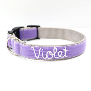 embroidered purple velvet dog collar Violet
