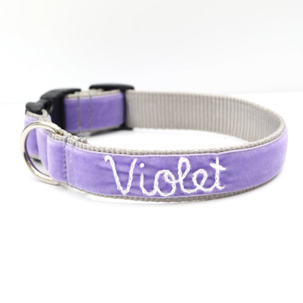embroidered purple velvet dog collar Violet