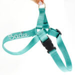 Nylon Webbing Easy On Personalized Dog Harness -- Hand Embroidered