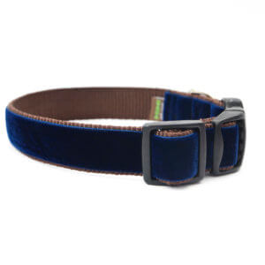 navy dog collar Noel Velvet