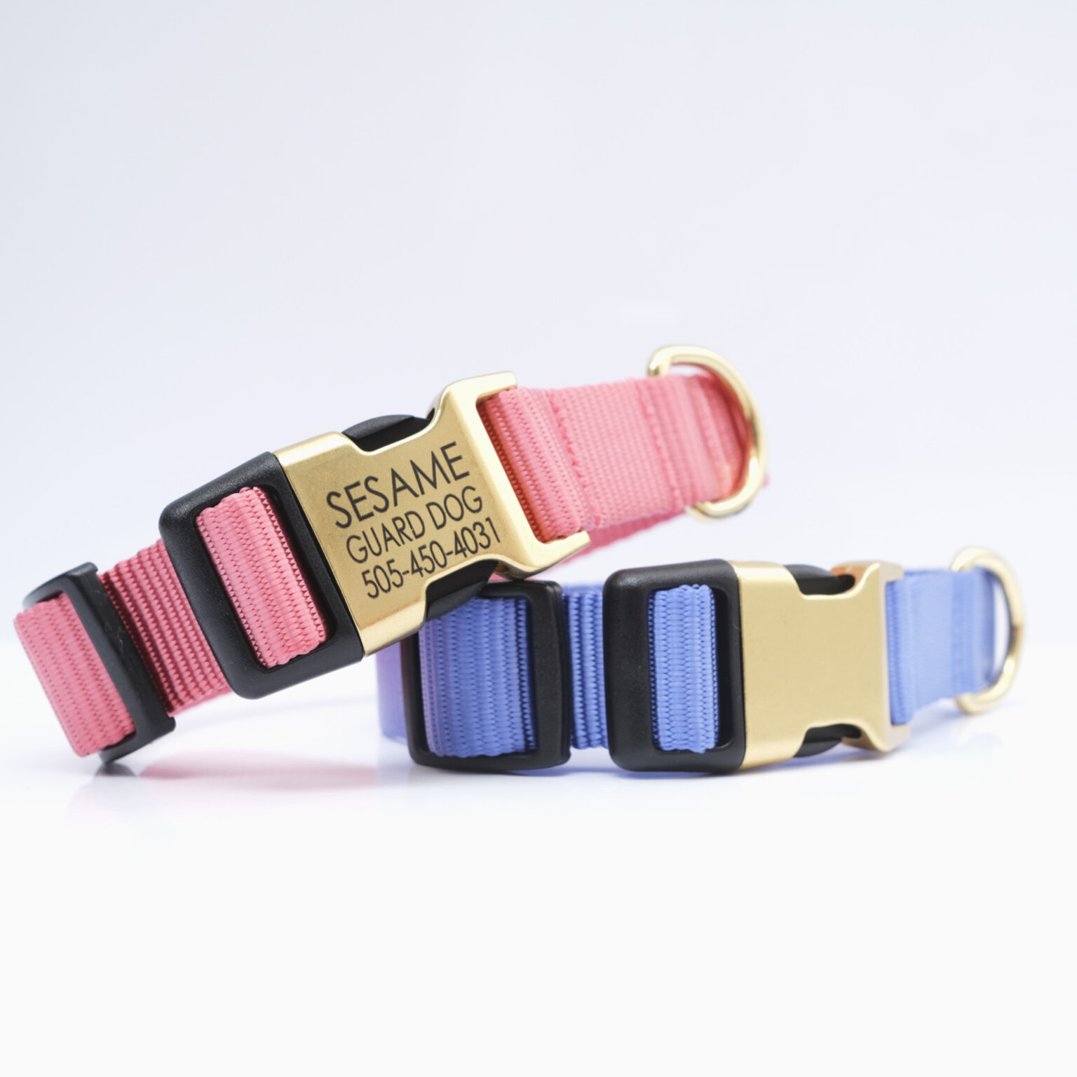 Engraved Personalized Nylon bing Dog Collar *27 colors