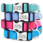 Engraved Personalized Nylon Webbing Dog Collar *27 colors