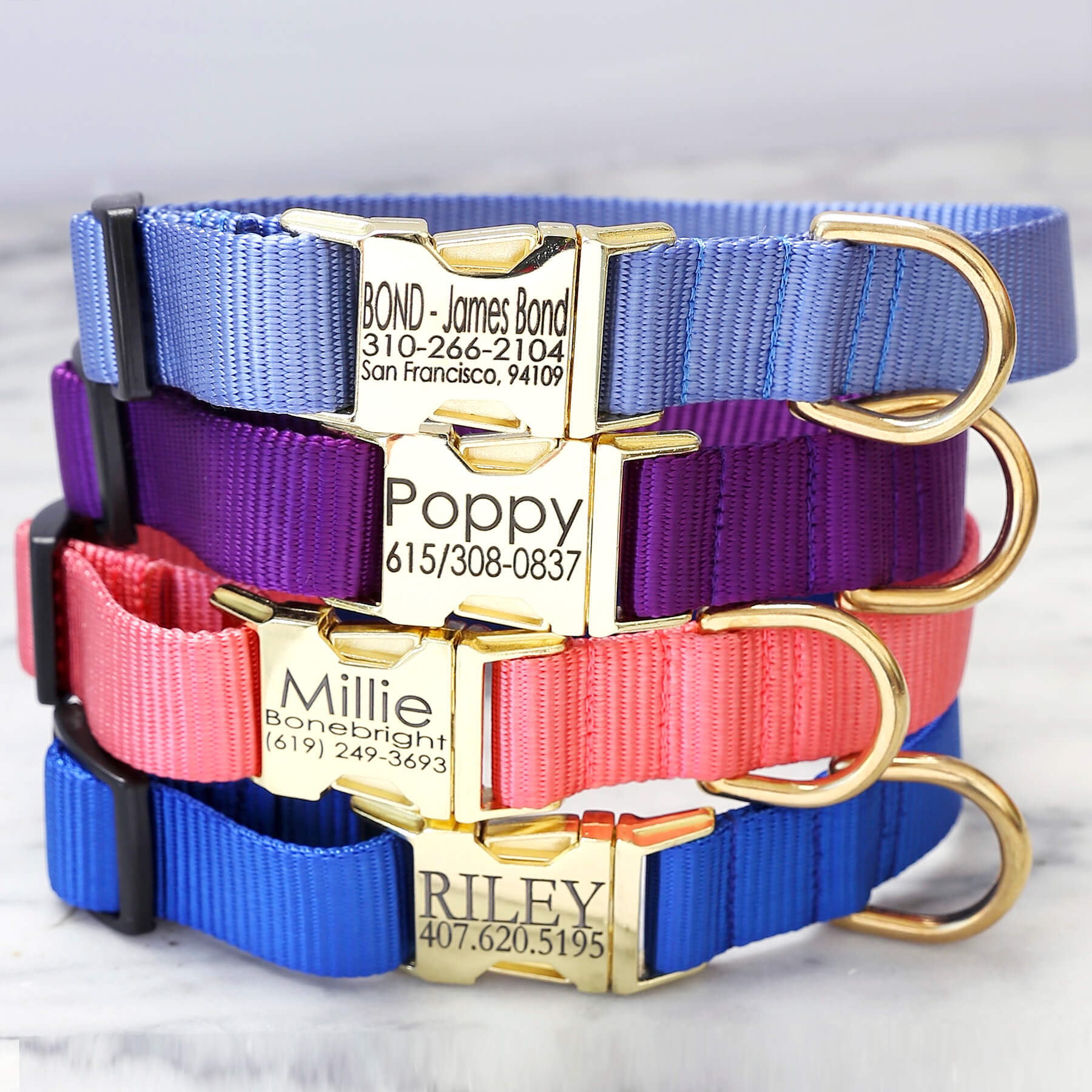 Personalized Dog Collar with Laser Engraved Metal Buckles