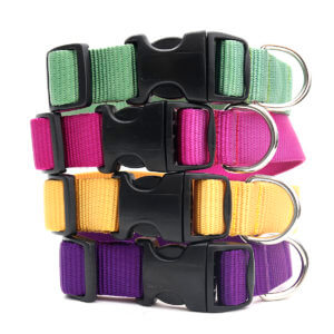 webbing dog collars plastic buckle plain