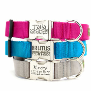personalized zinc buckle dog collar
