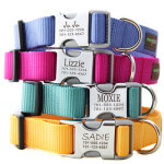 personalized dog collars-no jingling tag!
