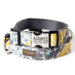 DD: Metal Personalized Engraved Buckle "Albert" Classic Cotton Collar