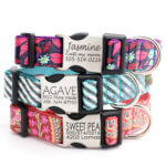 Buckle Engraved Dog Collar Laminated Cotton Styles