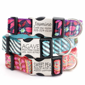 Laminated dog collars Monogramed