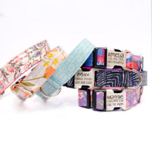 stack of laminated dog collar personalized