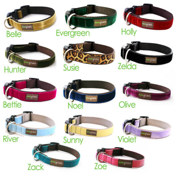 Velvet Dog Collars with Engraved Metal Buckle - 14 Colors to Choose