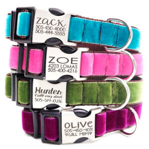 Velvet Designer Dog Collars