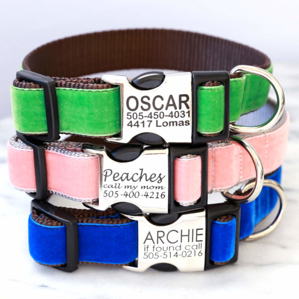 engraved velvet dog collars