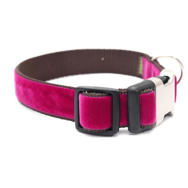magenta velvet dog collar bettie