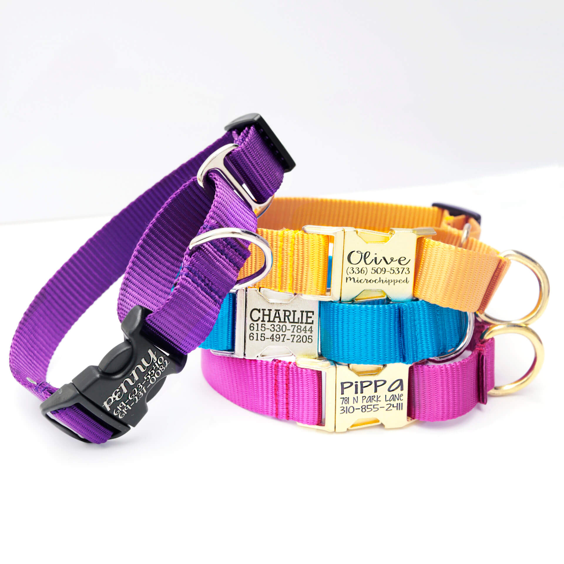 Personalized Pet Collar - Metal Buckle, Nylon and Colored Ribbon