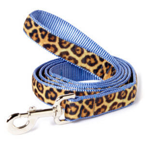 blue leopard dog leash