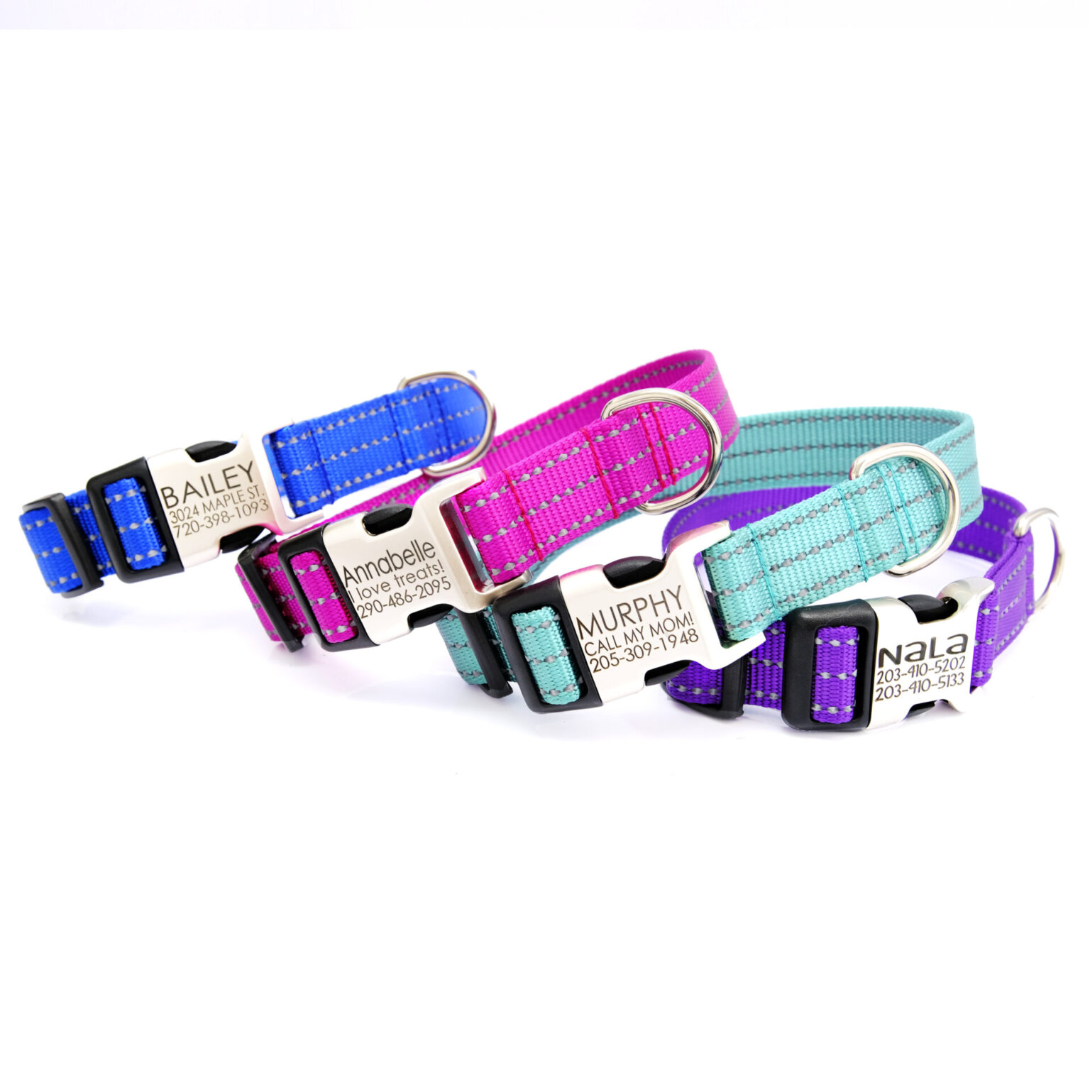 Reflective Nylon Dog Collar with Engraved Personalized Buckle