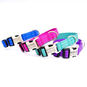 colorful reflective dog collars engraved