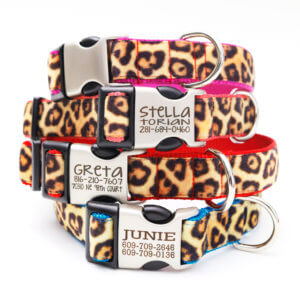 engraved leopard dog collar animal print