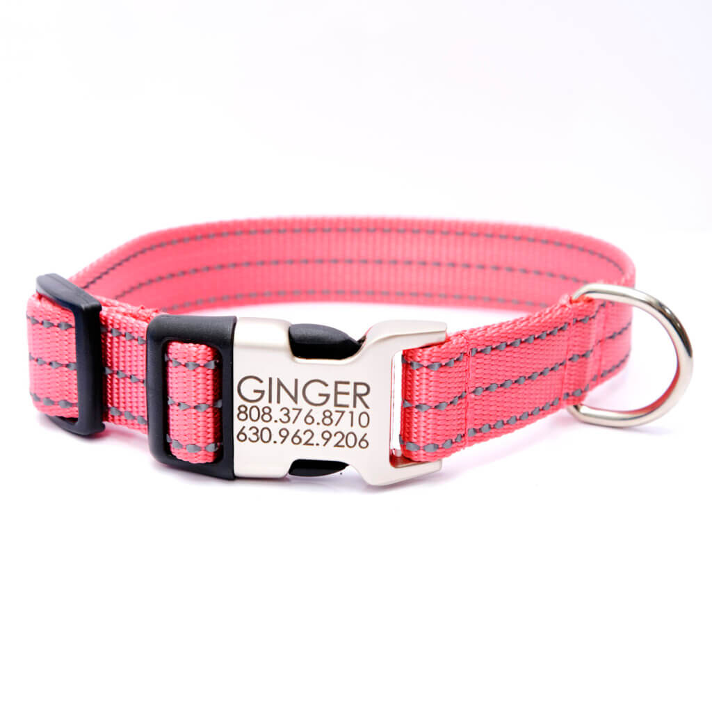 Reflective Nylon Dog Collar with Engraved Personalized Buckle