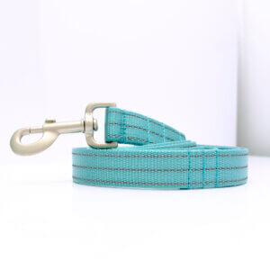 reflective teal nylon webbing leash