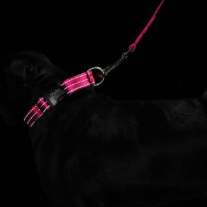 seasame nylon reflective collar dark