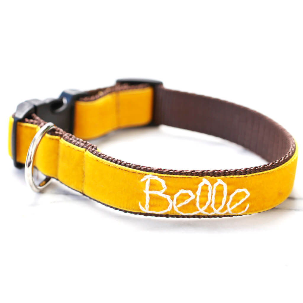Gold Velvet Personalized Dog Collar 'Belle'