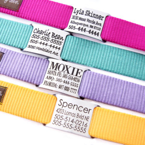 nameplate webbing dog collar