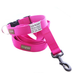 Pink NamePlate ID Dog Collar