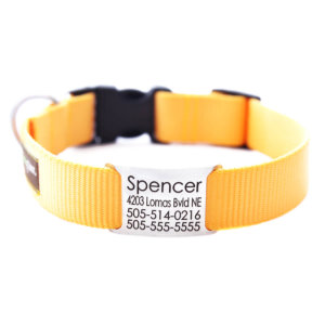 Yellow Name Plate Dog Collar