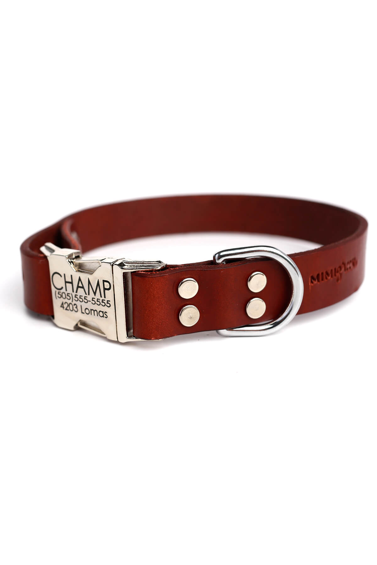 Personalized Engraved Leather Dog Collar - Metal / Brass Buckle
