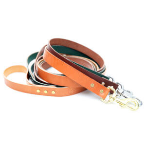 colorful leather dog leashes