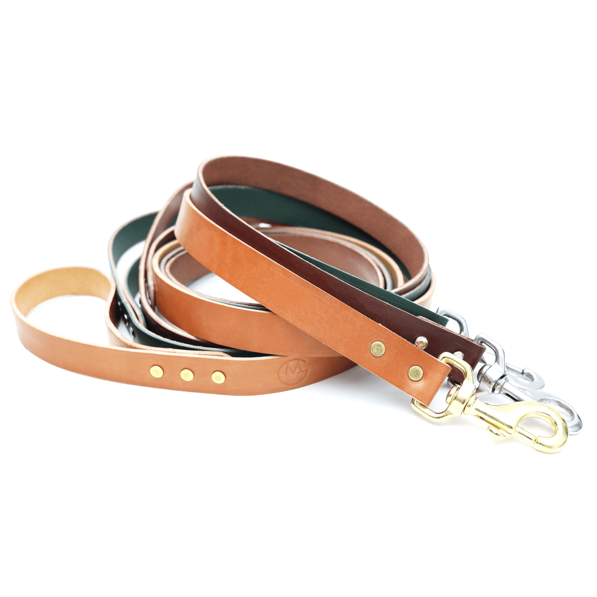 Dog Leash Types A Guide to 6 Popular Leashes