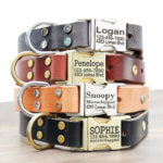 Personalized Engraved Leather Dog Collar - Metal / Brass Buckle