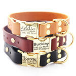 DD: Personalized Engraved Leather Dog Collar - Metal / Brass Buckle