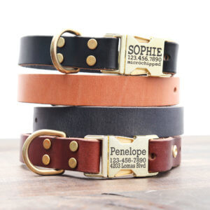 Personalized Engraved Designer Collar  Custom Name Leather Collars –  CatCurio Pet Store