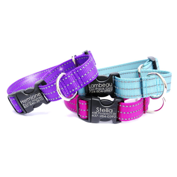 reflective martingale dog collar personalized