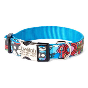 Engraved buckle dog collar