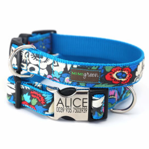 Engraved buckle dog collar