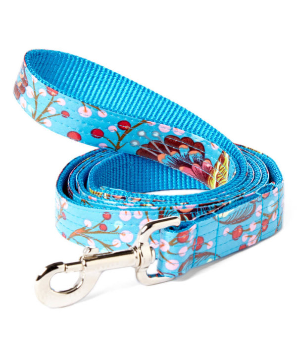 Blue laminated dog collar